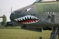 A predatory war bird: The A-10 Warthog