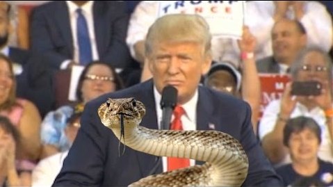 donald trump the snake